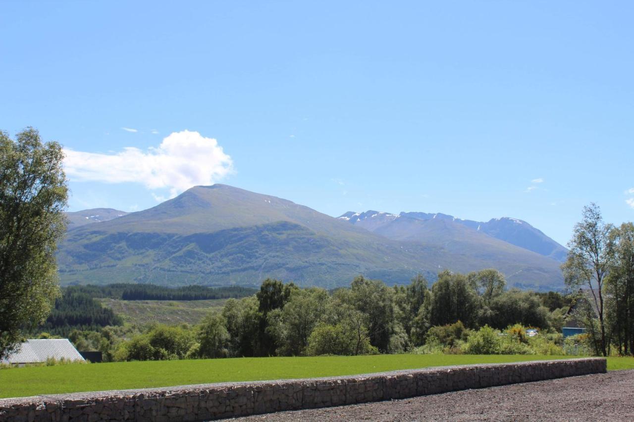 Stag * Spean Bridge
